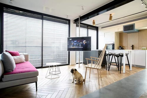 打破視覺壁壘 巧拆電視背景墻，實現客廳擴容與空間美學重構